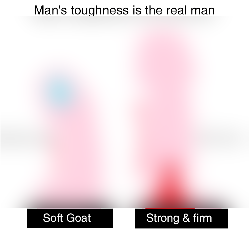 So a bunch of the fleshlight-style toys are being sold as "training" devices to improve a penis.So this has a standard before-and-after set of drawings, but they labeled the before as "SOFT GOAT".Also: "Man's toughness is the real man"