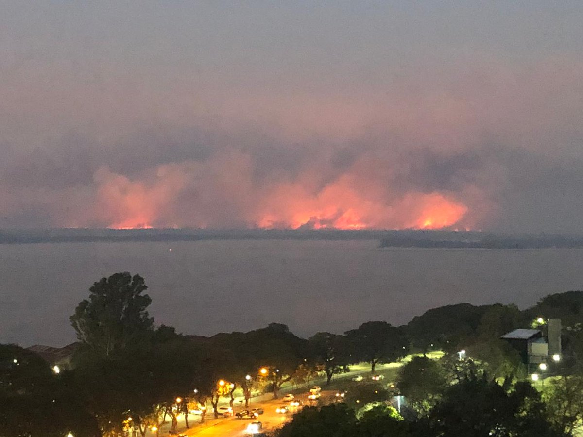 osvalDRC's tweet photo. Te acordás cuando lloraste porque se incendiada una catedral europea???
Te acordás cuando ardía el Amazonas???
Hoy te toca prestar atención a lo que le hacen al Humedal del Paraná  a lo largo de todo el delta Entrerriano.
Siempre el dinero por sobre todo para estos HDP !!! https://t.co/glMhnzyHq0