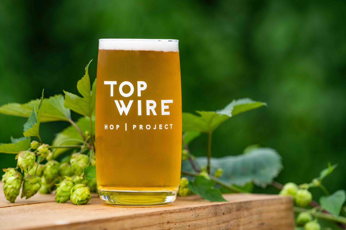 BREWPUBLIC's tweet photo. This weekend TopWire Hop Project, a new outdoor beer garden that sits in the middle of a hop field opened at Crosby Hop Farm. Info: https://t.co/bgMH1YSHdh #topwirehopproject #crosbyhopfarm #crosbyhops https://t.co/X9CbyeZN8y