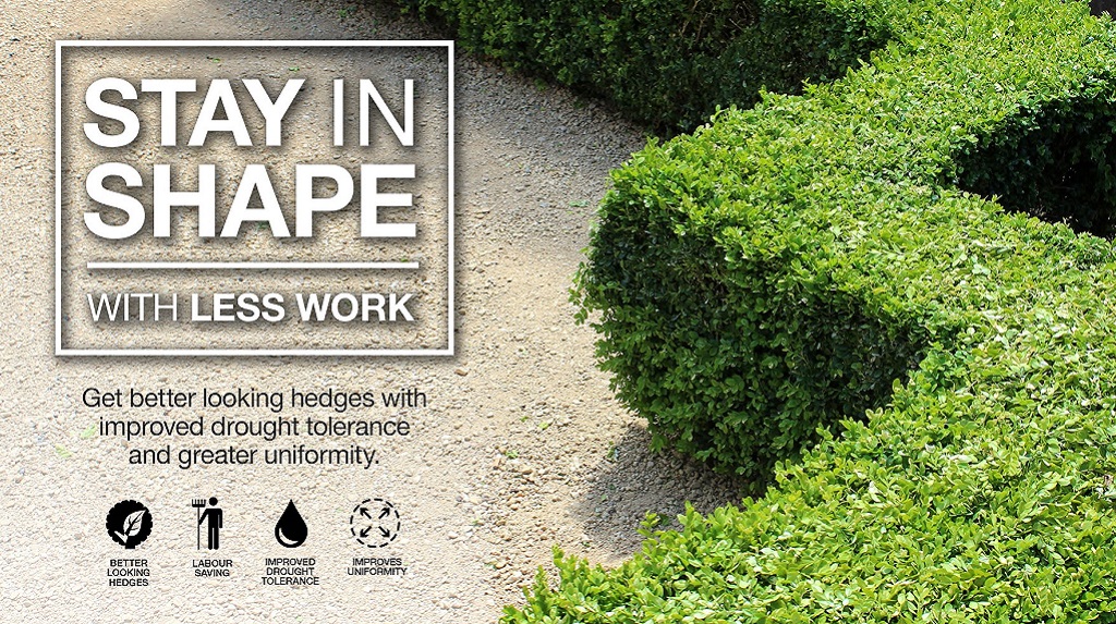 SyngentaTurfANZ's tweet photo. TRIMMIT provides better looking hedges &amp; more flowers whilst cutting down labour costs.  Reduces hedge regrowth by up to 90% . Only 1 app is required per year in spring  #time4trimmit #syngentaturfanz

TRIMMIT promo: https://t.co/NdD5AeGH6T 
Learn more: https://t.co/7rRG5pI9Rk https://t.co/vj6hjcGLcS
