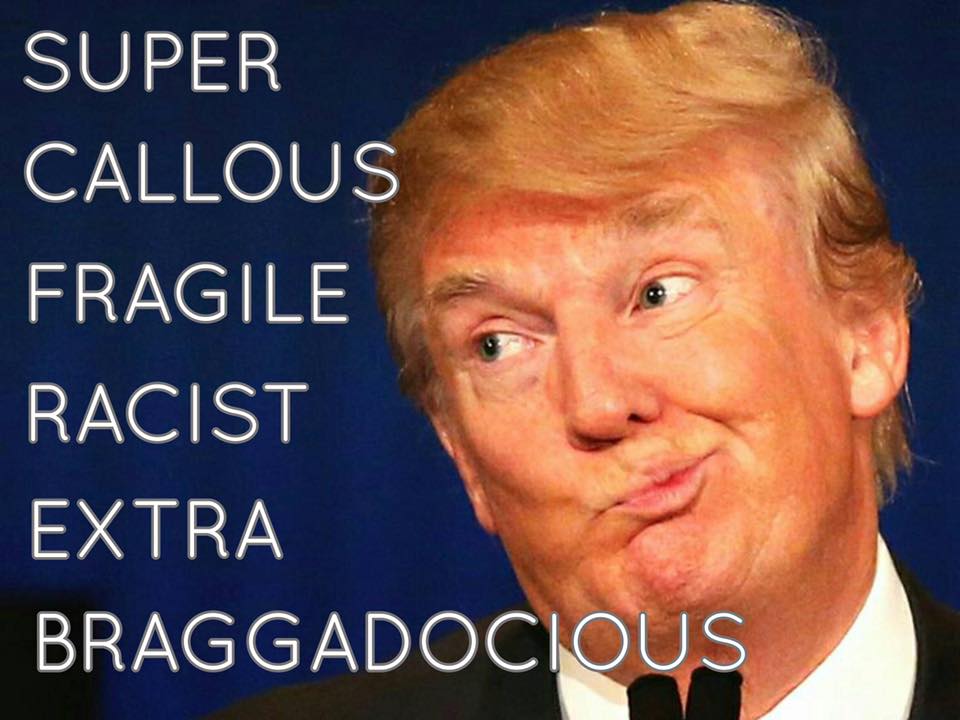 StormyVNV's tweet photo. This and #COVID19 America is Dying. #BodyBagsAcrossAmerica Go BACK we FUCKED UP Everything!!! https://t.co/klvqU6Piev