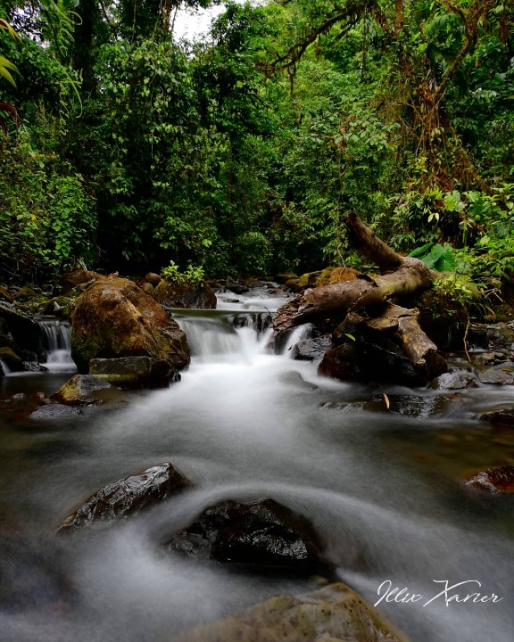 Illix Xavier IX12 tweet media