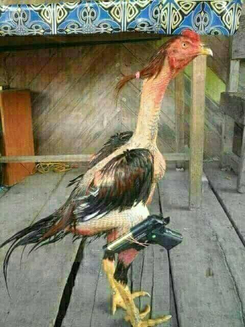 <a href="/pcyrlp_/">xogep || lagi dare</a> <a href="/bawgja/">.</a> siap aku juga tinggal serang