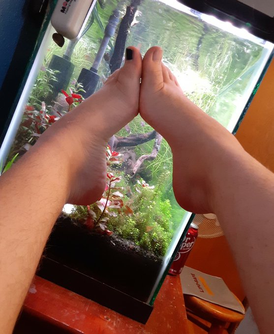 1 pic. WHOS INTO FEET?! someone asked for feet pics and I've never done it before, what do you like about