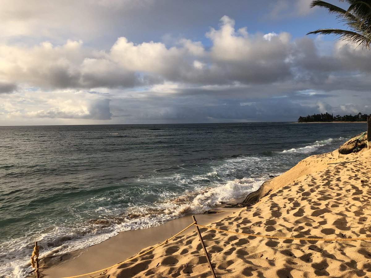 RafaelDomeyko's tweet photo. For 3 days, the sound of chainsaws filled the air - trimming palm trees and removing coco nuts - preparing for Hurricane Douglas. Now, if you listen carefully in between wind gusts, you'll hear the sound every surfer loves - wax going on the board. https://t.co/MyLvLNPRNL