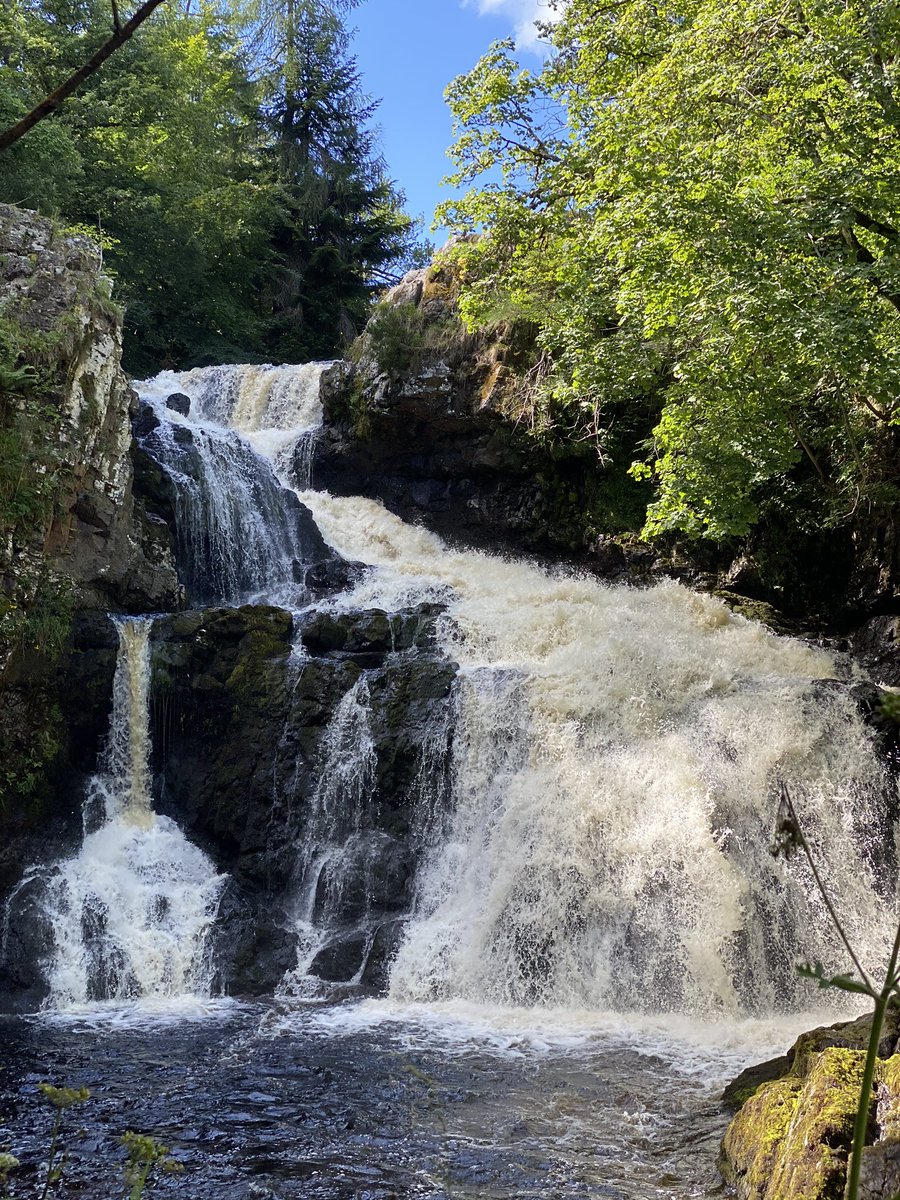 JaneEaton79's tweet photo. Should be in Italy right now but instead a fabby day out with the family close to home #ReekieLinn #beatifulscotland #makingthemostofit #covidwillnotwin https://t.co/yVTkW9aSTT