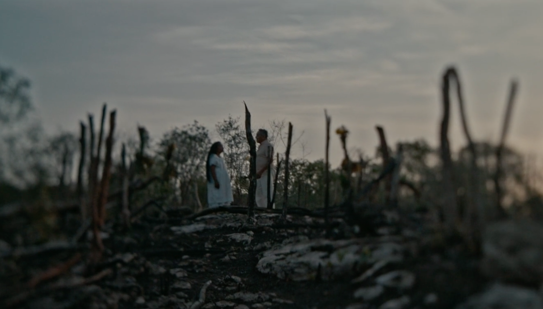 Diplomacia Cultural MX tweet media