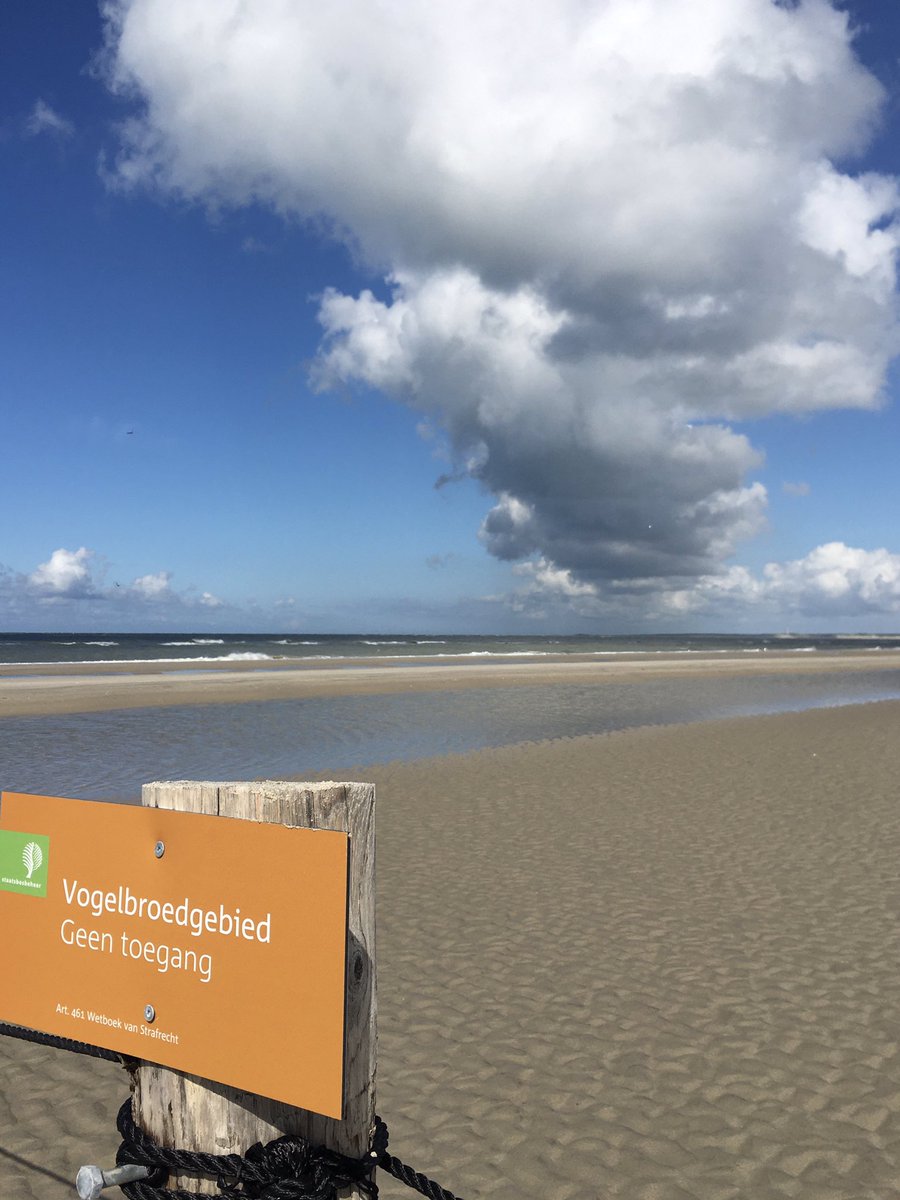 de_boschplaat's tweet photo. 👋 #Boschplaat https://t.co/7FBISRtHMj