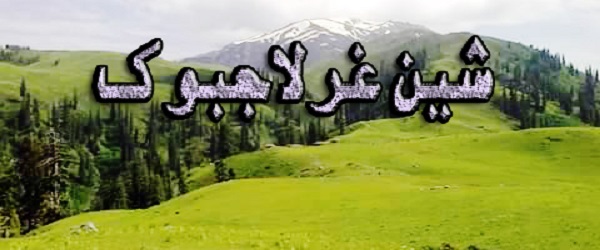 DIRLowerDotCOM's tweet photo. Shenghar Lajbouk Dir Lower...!! the wonderful valley to visit.

visit https://t.co/wm9cmIlHNk for more photos
#BuildDirChitralMotorway to promote tourism https://t.co/1sci4hLsfH