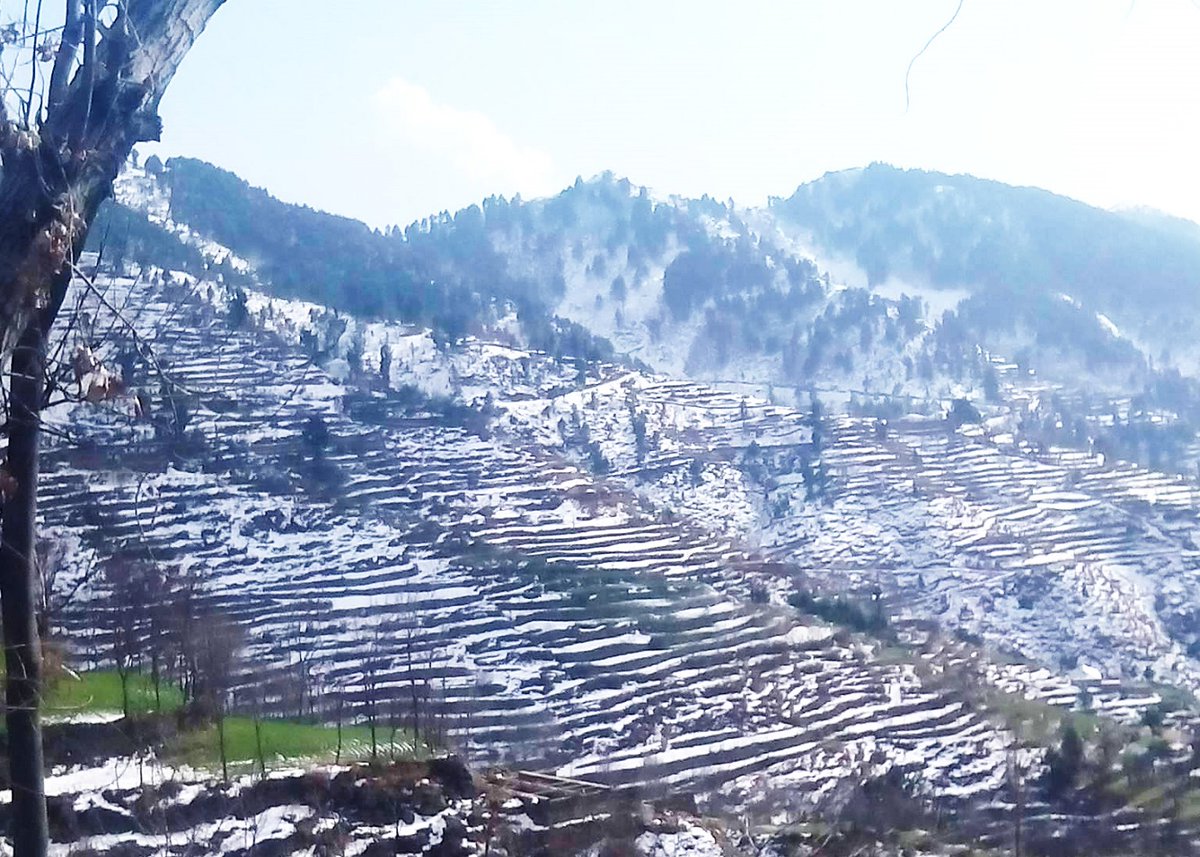 DIRLowerDotCOM's tweet photo. Shenghar Lajbouk Dir Lower...!! the wonderful valley to visit.

visit https://t.co/wm9cmIlHNk for more photos
#BuildDirChitralMotorway to promote tourism https://t.co/1sci4hLsfH