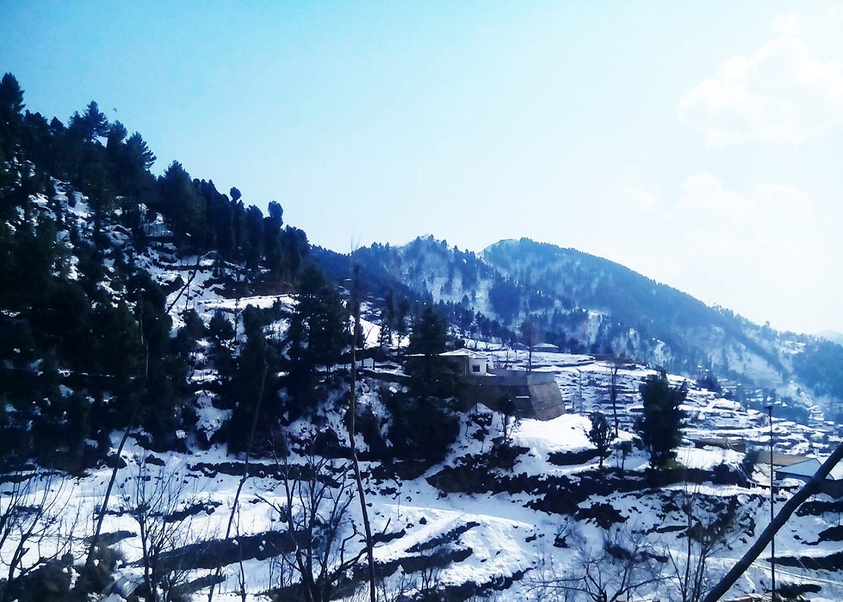DIRLowerDotCOM's tweet photo. Shenghar Lajbouk Dir Lower...!! the wonderful valley to visit.

visit https://t.co/wm9cmIlHNk for more photos
#BuildDirChitralMotorway to promote tourism https://t.co/1sci4hLsfH