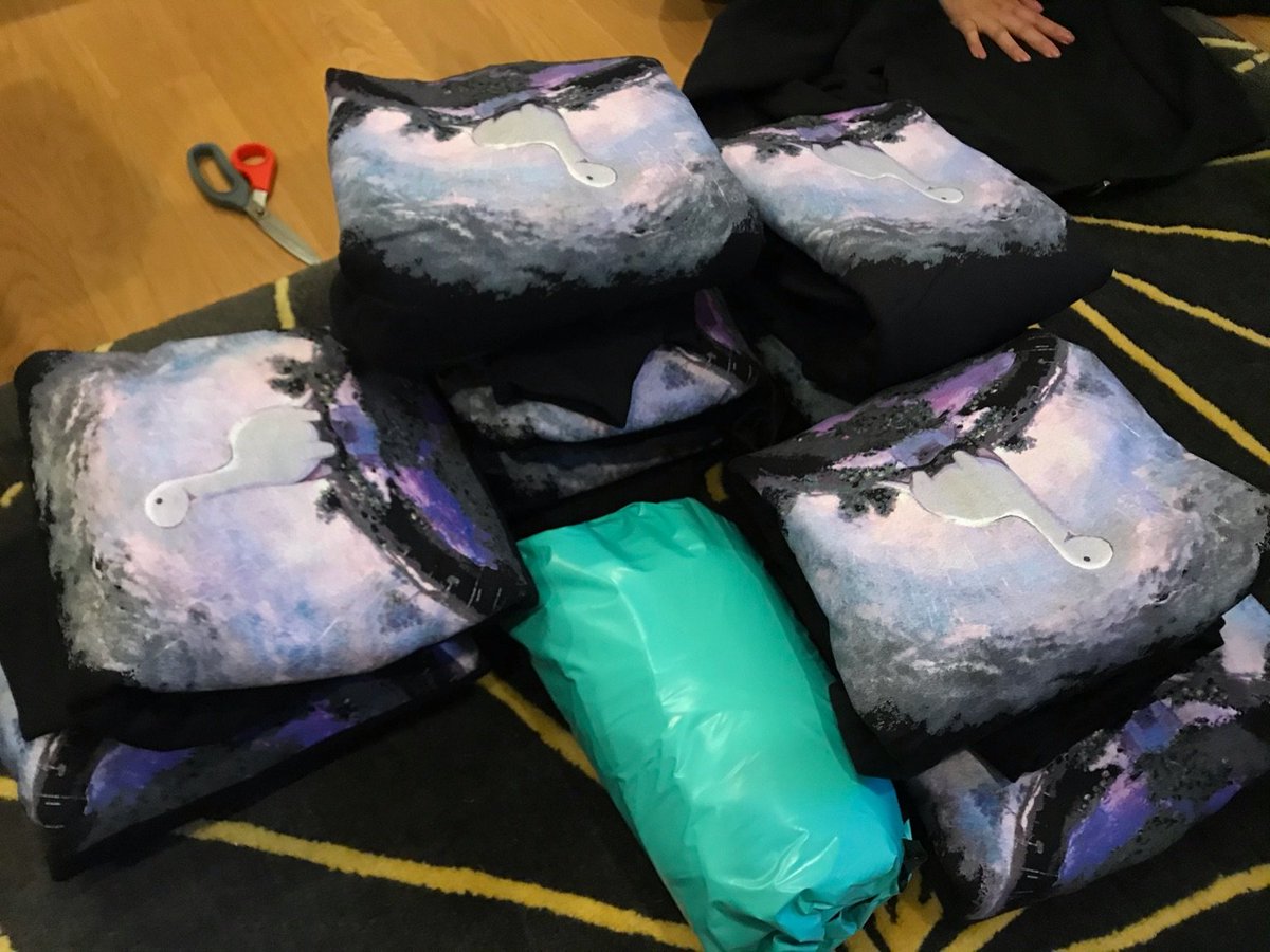 Hoodie update: Ryan and his friend have folded and hand packed hundreds sweatshirts. All US orders have been now been shipped. International soon. Sorry it has taken so long! Thanks for the support!