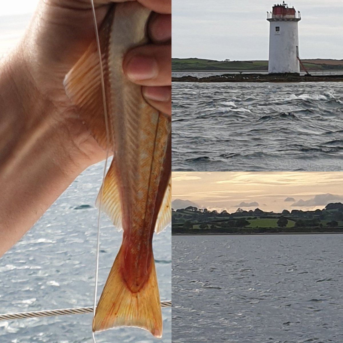 Out on the lough #sundayvibes #strangfordlough #princess