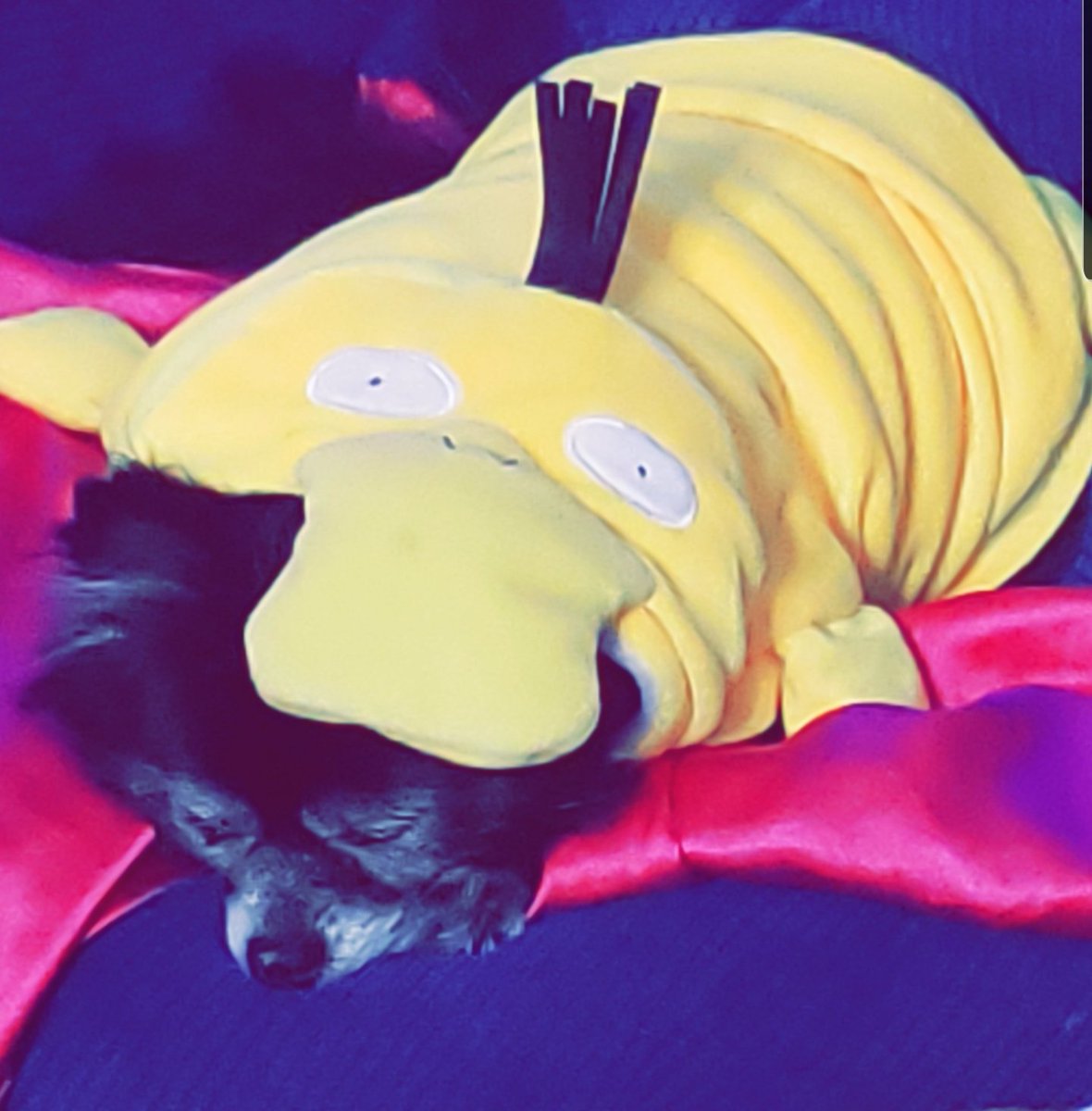 Amber Norell tweet media