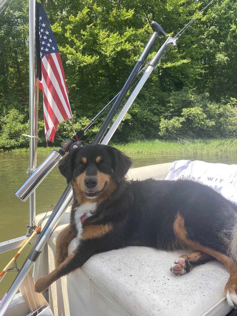 francyhuh's tweet photo. @PLLWaterdogs #PLLWatchParty https://t.co/b5T1YQnTYr