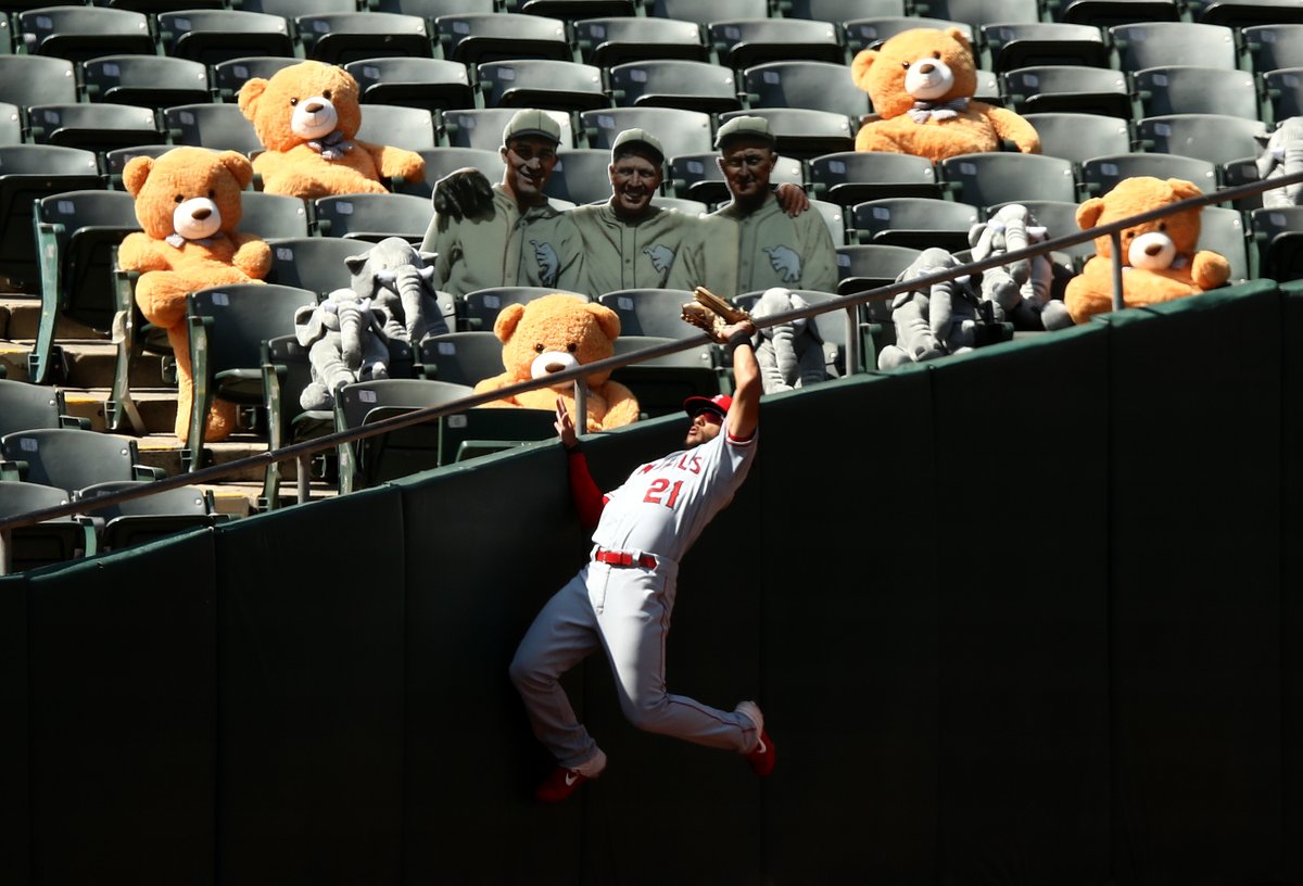 YahooSports's tweet image. This. picture. is. something.