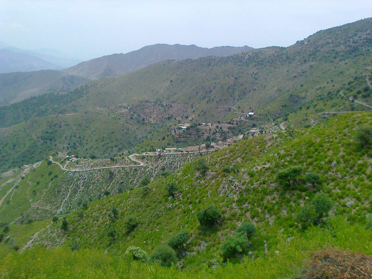 DIRLowerDotCOM's tweet photo. Koheray Malakand Dir Lower

visit https://t.co/wm9cmIlHNk for more photos
#BuildDirChitralMotorway  to promote tourism to these areas https://t.co/eQ73lxzKh9