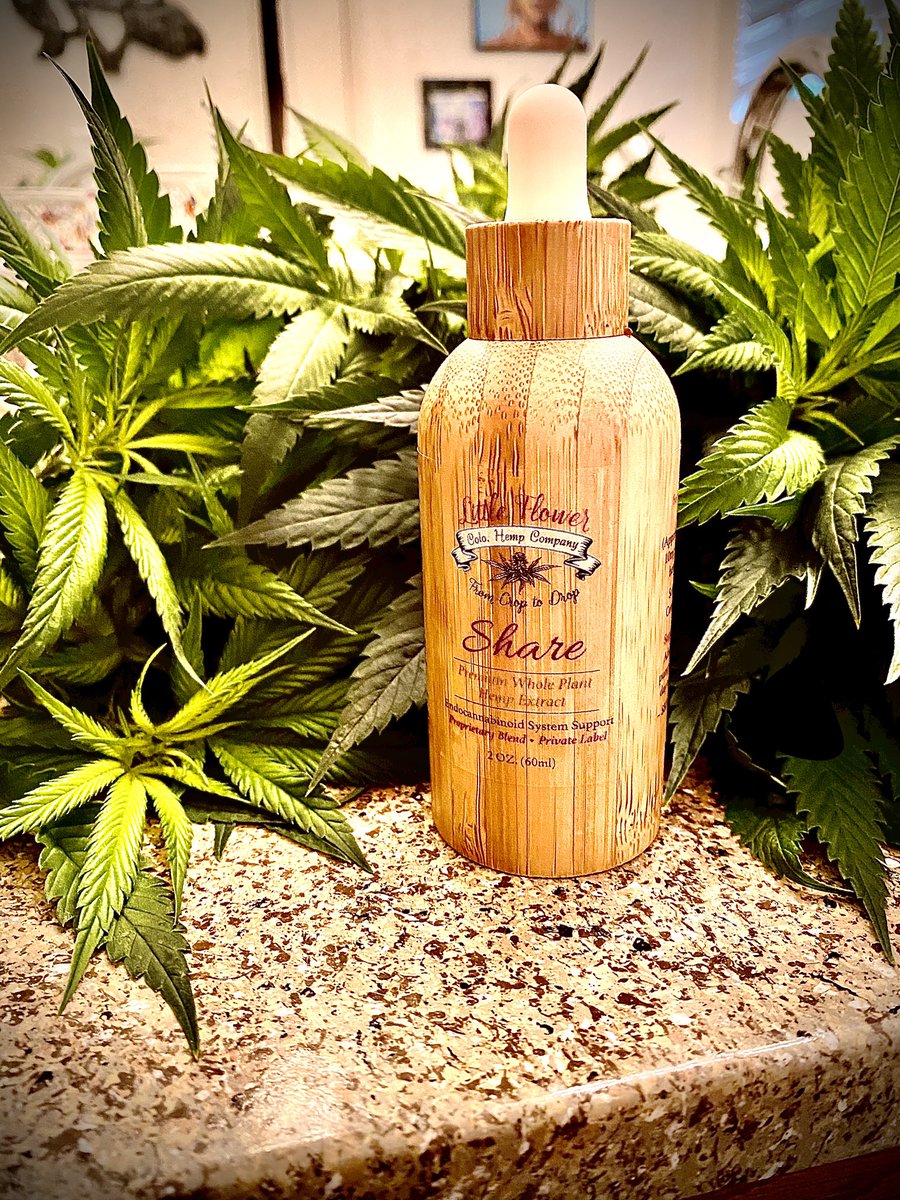 LittleFlowerHe1's tweet photo. Last day to receive 30% off! #hempheals   #cbdhealth  #cbdskincare #hempproducts #beauty #hemp #tinctures  #wholeplanthemp  #plantmedicine  #wellness   #immunesupport  #immunebooster  #skincare  #skinhealth  #healthandwellness  #healthandbeauty #naturalproducts  #organic https://t.co/ejHOQoK4Jr