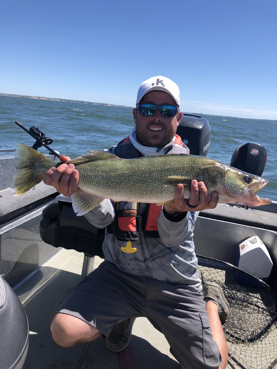 Liebelsguide's tweet photo. Last Minute Giant!!!!  #LiebelsGuideService #VisitWilliston #AmphibiaFloats #Lowrance #MondakSports #Navionics #PrecisionMeasurement #RangerBoats #Salmo https://t.co/wDiyHyP3Mb