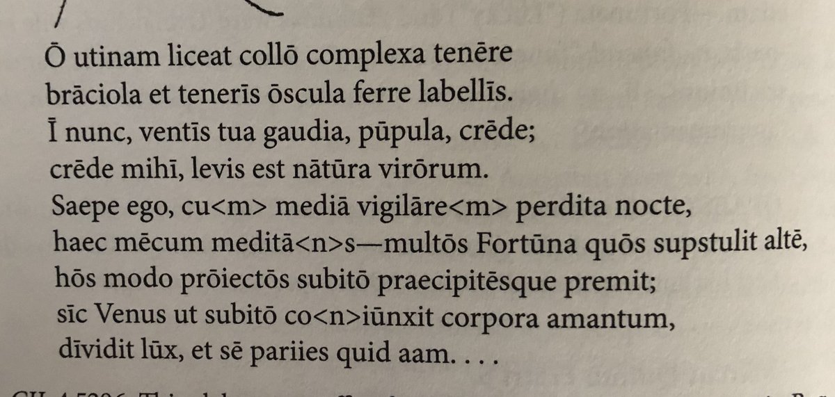 David J Wright On Twitter One Of The Benefits Of Doing A Close Reading Of Wheelock Is That It Brought This Inscription To My Attention Cil 4 5296 It S A Poem That Appears Osculum — puede referirse a: twitter