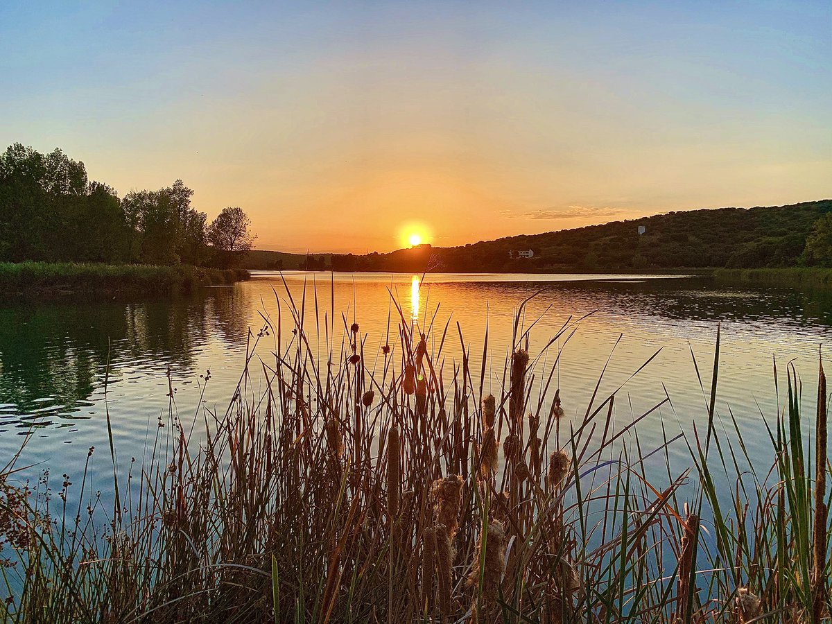 ruideratreasure's tweet photo. Atardeceres del #ParqueNatural de las #LagunasdeRuidera 🌝 Las #puestasdesol más bellas de España📍Laguna Colgada 📆 Julio  2020 #ruideratreasures #sunset #ruidera @MeteoHellin @meteocr @ElTiempo_tve @ElTiempoCMM @ElTiempoA3 @turismoclm @aquilatierratve @anibalclm https://t.co/3QsDwCUxYU