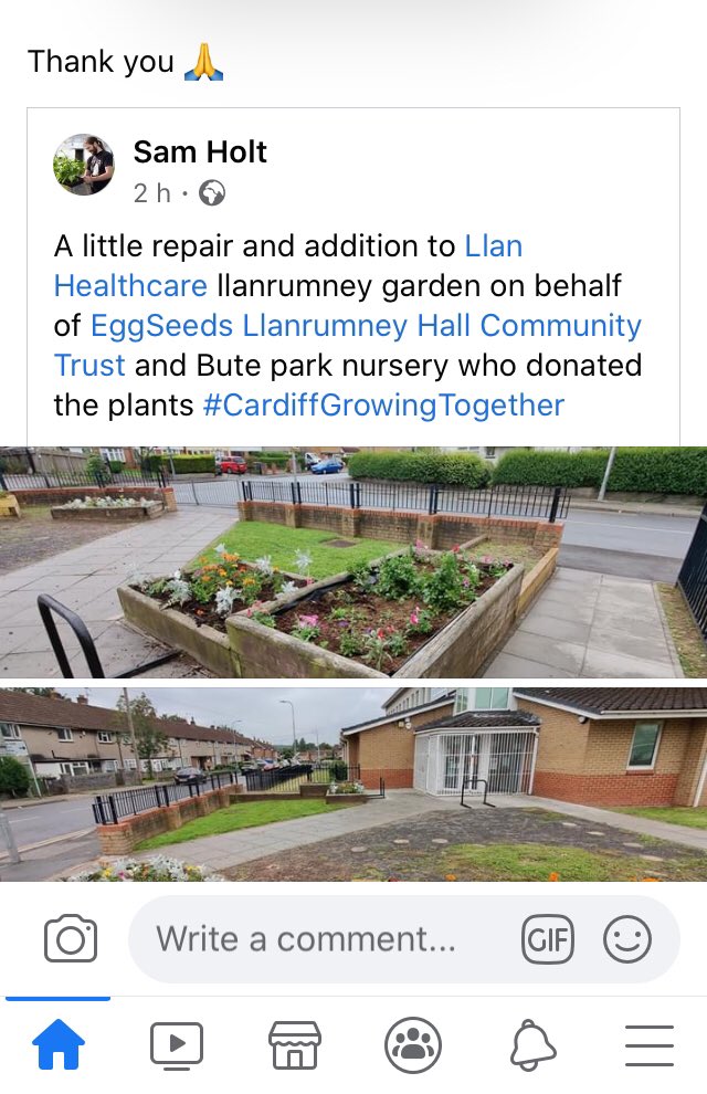 llanhealthcare's tweet photo. THANK YOU! @EggSeeds #samholt @LlanrumneyHall #cardiffgrowingtogether @buteparkcardiff https://t.co/oyOWRrLDBX