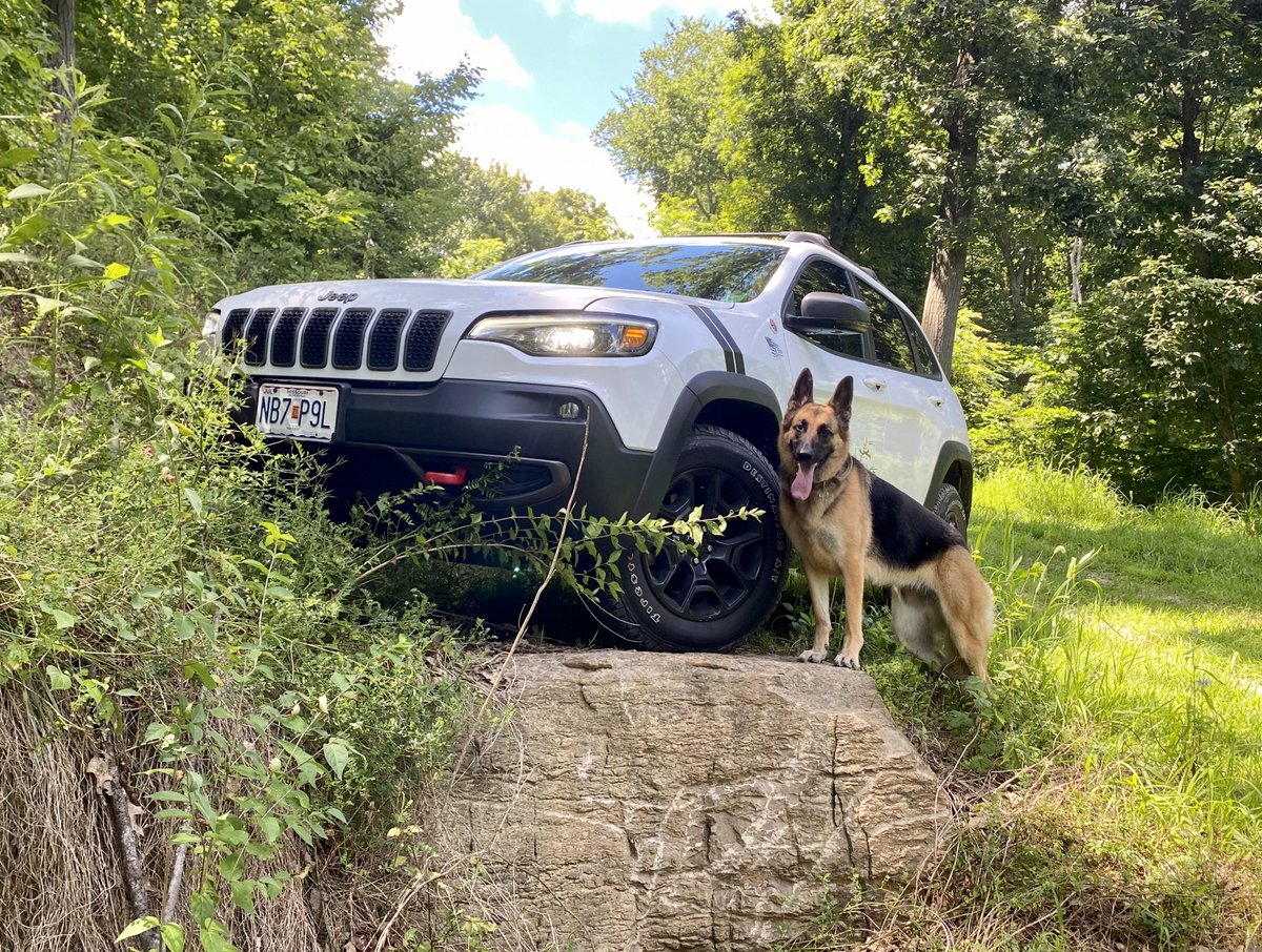 Sasha ❤️  #jeeptopcanine #contest #jeep @jeep #jeepcherokee #cherokee #cherokeetrailhawk #traildog #germanshepherd #gsd #dog #canine #beautiful