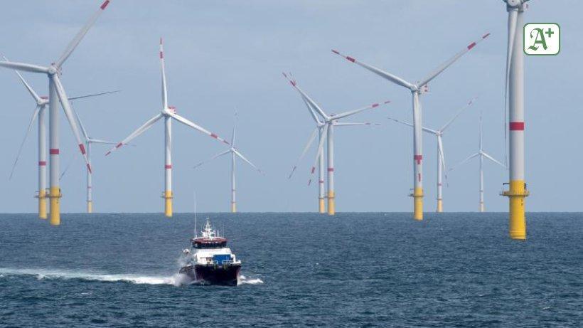 Windparks auf der Nordsee liefern gut 21 Prozent mehr Strom abendblatt.de/wirtschaft/art…