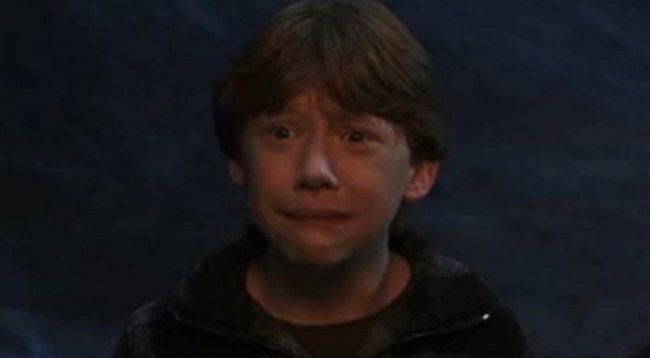 Hogwartssite's tweet photo. Lo que llevamos de 2020 en cuatro imágenes. https://t.co/rDG9Zb6pcf