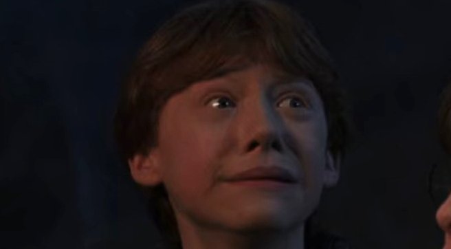Hogwartssite's tweet photo. Lo que llevamos de 2020 en cuatro imágenes. https://t.co/rDG9Zb6pcf