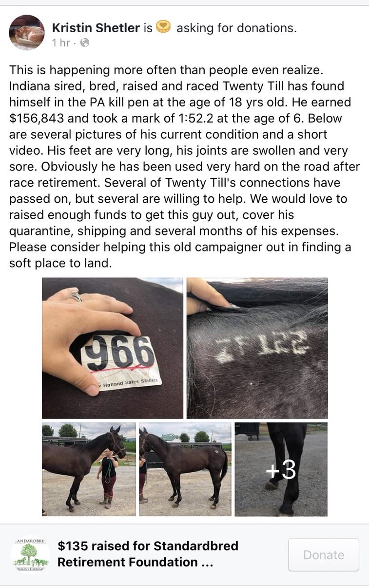 Ginap0215's tweet photo. If you can let’s help Twenty Till out! Retweet/share anything helps!! https://t.co/XgXwPgUIVO https://t.co/6grFMwSRhu