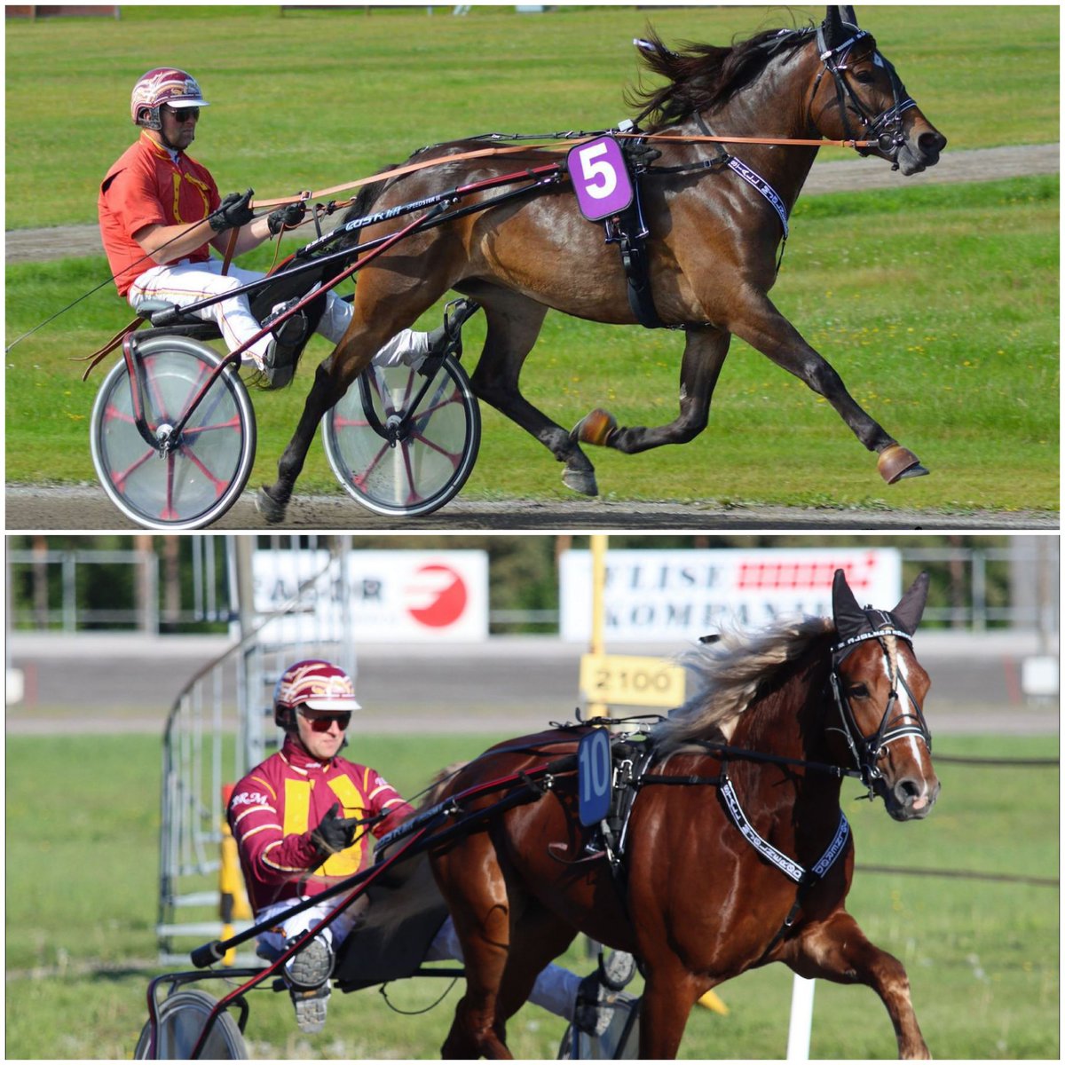 Mine 2 vakre hestebarn kvalet inn til kriterietstoet/kriteriet💫❤ Stall Mjølnerød kvalet 3/3👌💪🙌💫