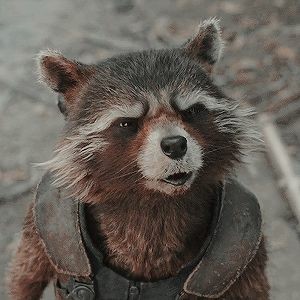 #RocketRaccoon