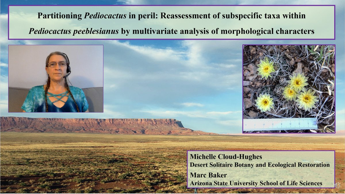 CommandoBotany's tweet photo. Looking forward to this brave new world of virtual conferences, starting bright and early tomorrow morning with my talk at 10:45 EST in the Floristics &amp; Taxonomy I session. Come learn about one of the most adorable and endangered cacti ever! #Botany2020 #iamabotanist https://t.co/0H6cBbgJaz