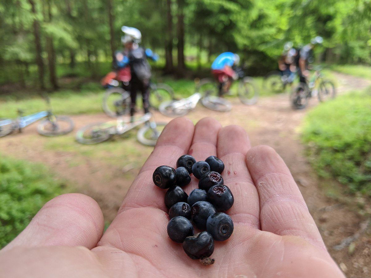 majh1982's tweet image. Če bi bili trejli suhi, bi šlo pa kej druzga narobe. 😄
Tako pa smo vsi celi in nasmejani šli vsak na svoj konec.
Hud vikend s Slovakoma, Nemci ter Ljubljančanom in seveda lokalnim vodičem je bil tole.

#RidgeLineTrails #koroška #mtbsi #bikenomad #ekohotel #koroš #jamnica
