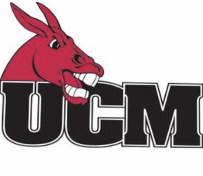 Chase Taylor tweet media