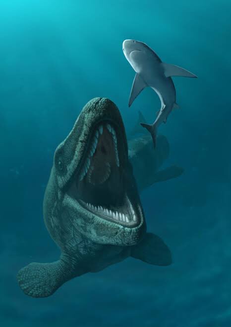 Giant Egg Discovered in Antarctica Belonged to Marine Reptile