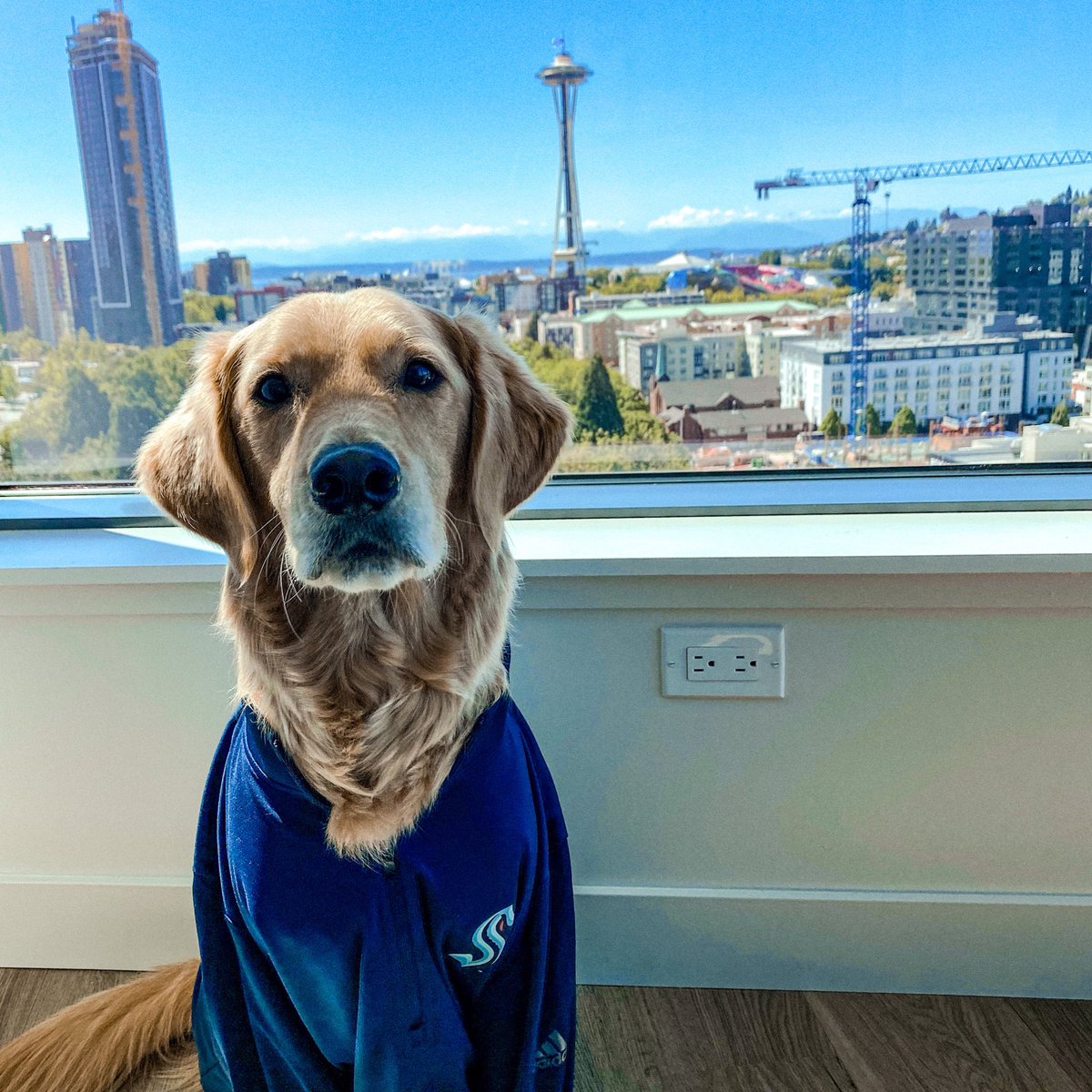 the goodest boy ever and also a big #seakraken fan 🥺