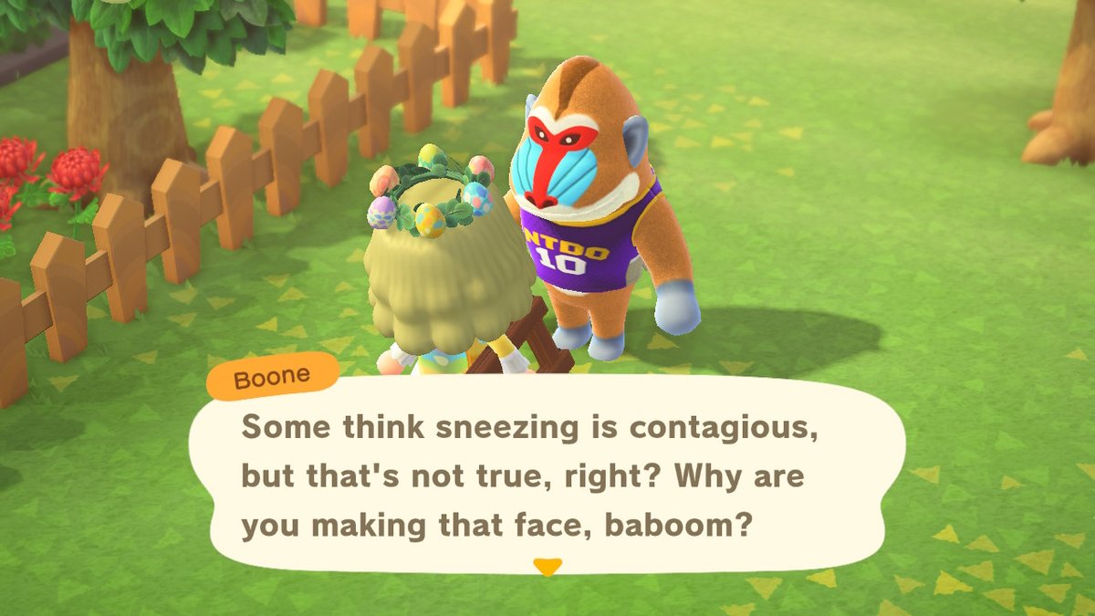 Otilyte's tweet photo. #AnimalCrossing #ACNH #NintendoSwitch https://t.co/lPv1QvQYu0