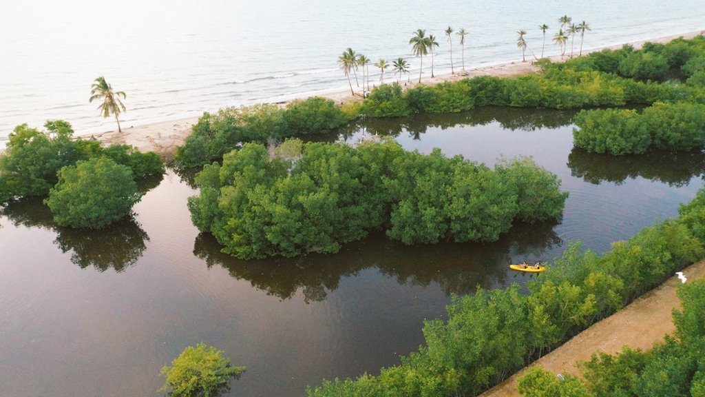 sector el francés - tolú