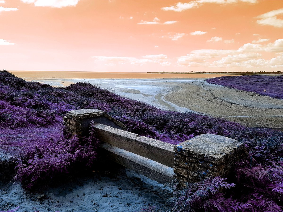 ConstableClaire's tweet photo. This weekends view... #ogmorebysea #southwales #ogmore #southerndown #naturallybeautiful and #slightlyfiltered @MyFaveBench https://t.co/UAxgz1Jb9i