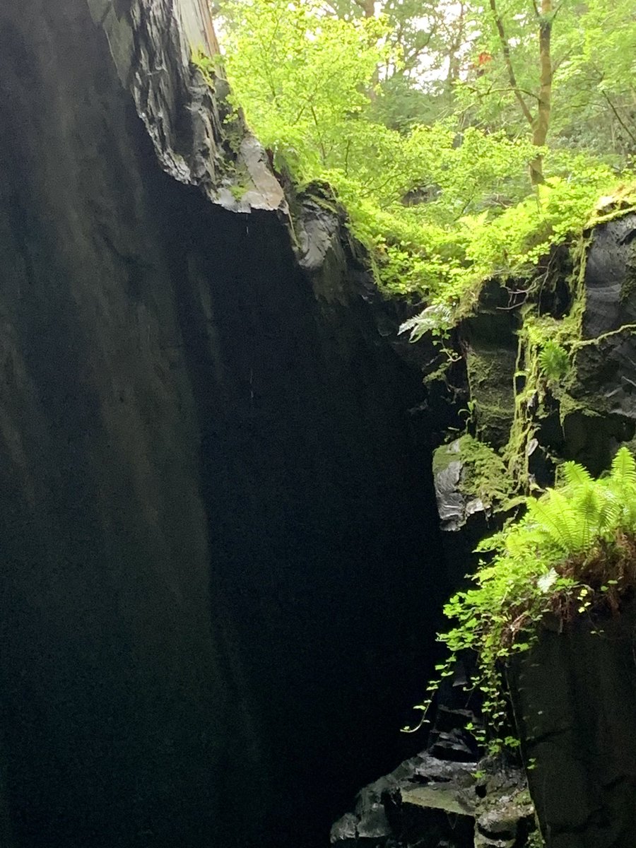 face_collie's tweet photo. Cathedral Cavern. #lakedistrict https://t.co/PVvWPDP45d