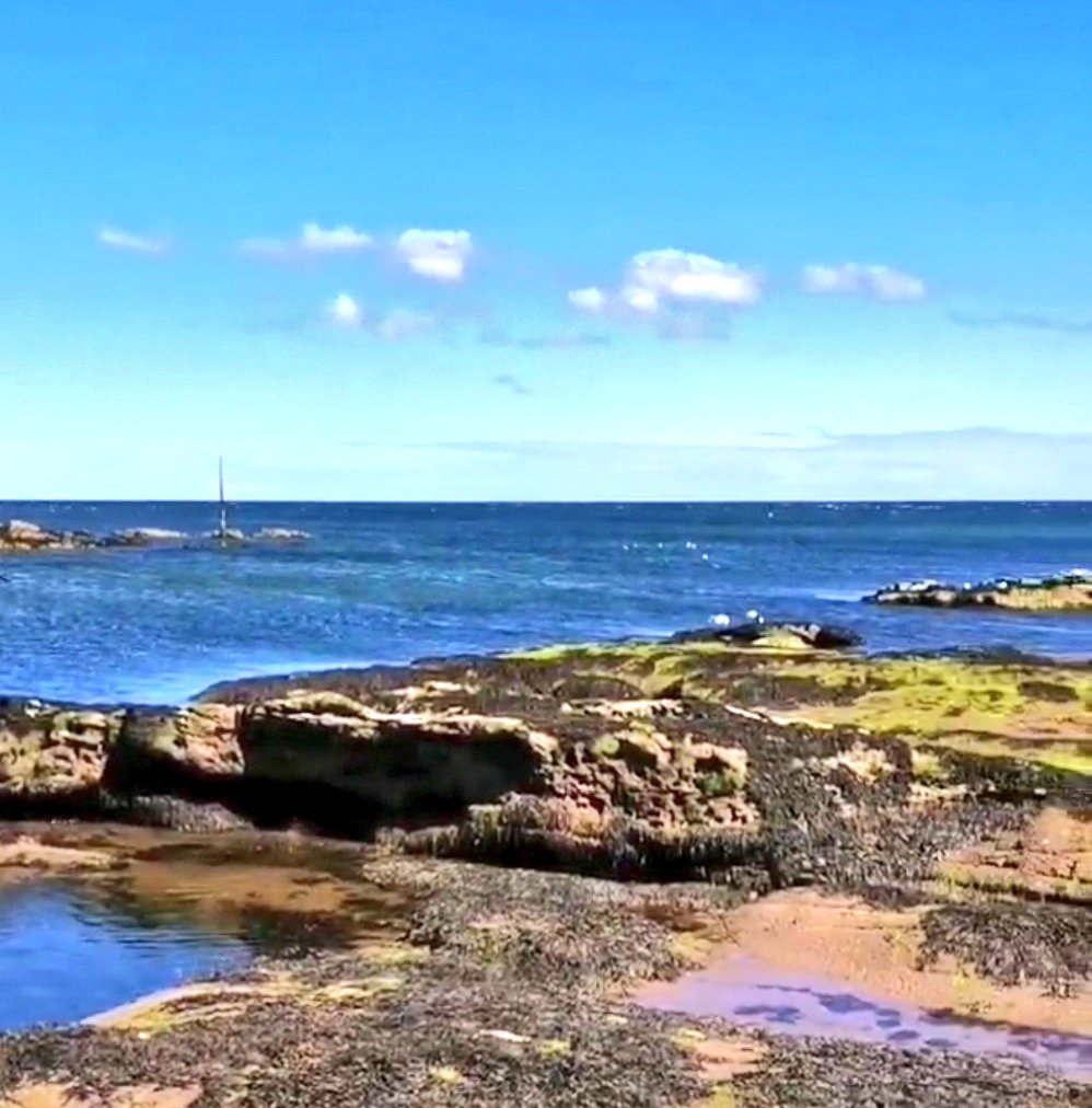 Day 132. Took a wee walk out onto the rocks today!