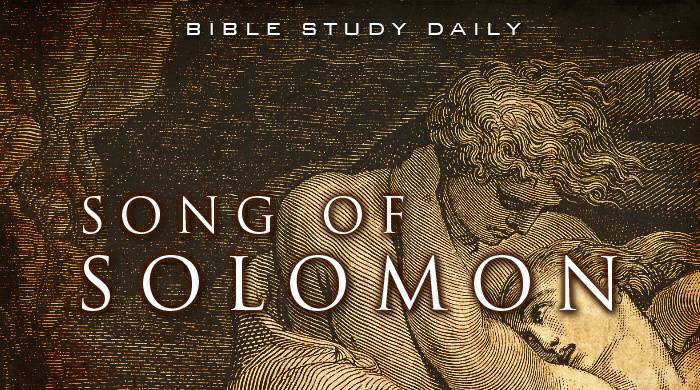 JoyCenter's tweet photo. Todays Book....
#theyearofthebible 
#joycenter 
Let's Talk. https://t.co/GbBh8P9VEm