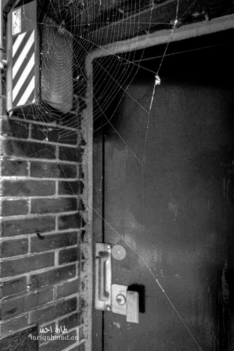 tariqk82's tweet photo. "Closed door -- The end" #web #therealweb #spiderweb #door #spide #EXIT #blackandwhitechallenge #blackandwhitephotography #blackandwhitephoto #art #COVID19Ontario #arttherapy #Nikon #nikonphotography #24mm @LensAreLive @ThePhotoHour https://t.co/RMCwQmGoR7