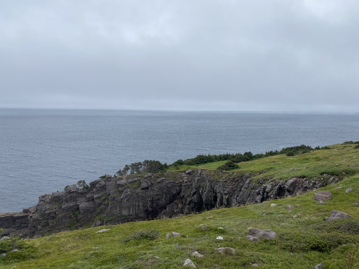 karenpowermcc's tweet photo. Marine Lab to Quidi Vidi #sugarloafpath #sugarloafhead #bawdenshighland #robinhoodbay #smallpoint #toughhike @EastCoastTrail #sunny #rainy @AllTrails https://t.co/NXVWnsZqXp