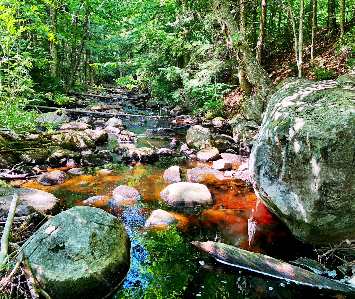 jackhaley42's tweet image. Slow moving water on Third Lake Creek. #adk #adklife #oldforge