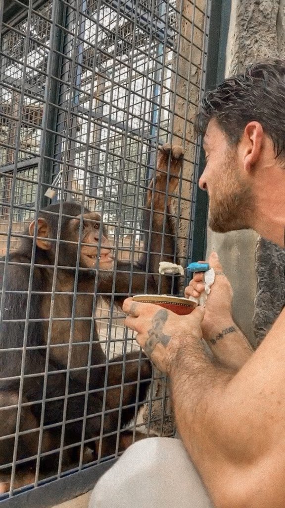 morroneoficial's tweet photo. 🐵 https://t.co/XuRMtRQxkV