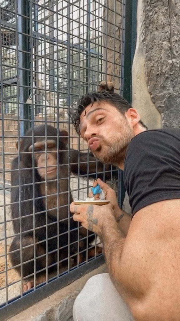 morroneoficial's tweet photo. 🐵 https://t.co/XuRMtRQxkV