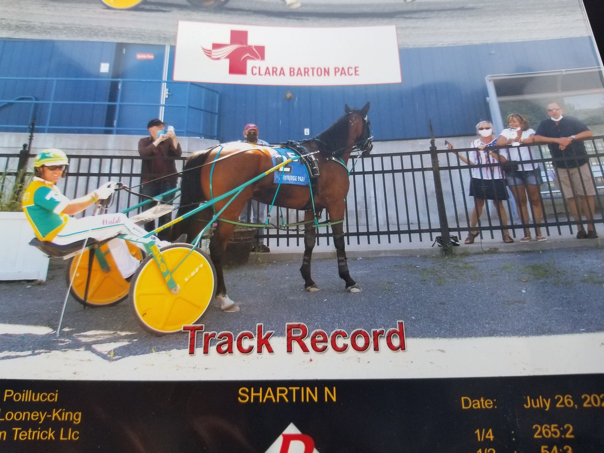 JoannKi32885615's tweet photo. Fast horses...track records and good friends to watch races with...what a beautiful day at Plainridge..and what a strange winners circle picture..๐..
#ShartinN ๐ #PacingQueen #TetrickTap
#ClaraBarton...#Plainridge https://t.co/b0Ow4NXjWO